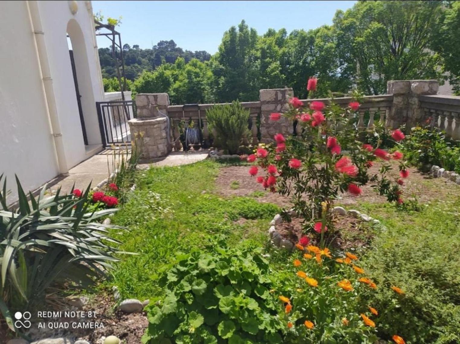 Apartmani Jovanovic Petrovac Exterior foto