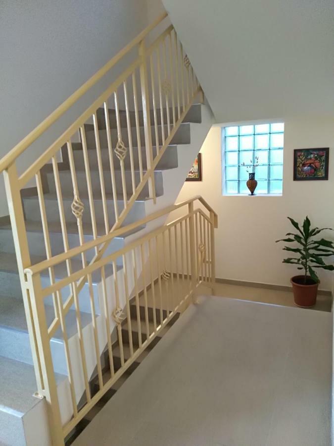 Apartmani Jovanovic Petrovac Exterior foto