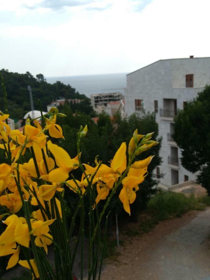 Apartmani Jovanovic Petrovac Exterior foto